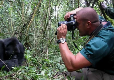 Gorilla Trekking Permit Allows You To Enter Bwindi & Mgahinga
