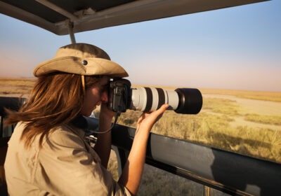 Wildlife Photography In Uganda