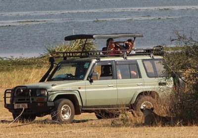 Kidepo Valley Safari