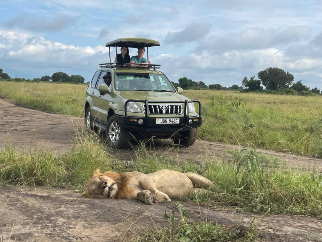 The Ultimate Guide To Safari Car Rentals In Uganda