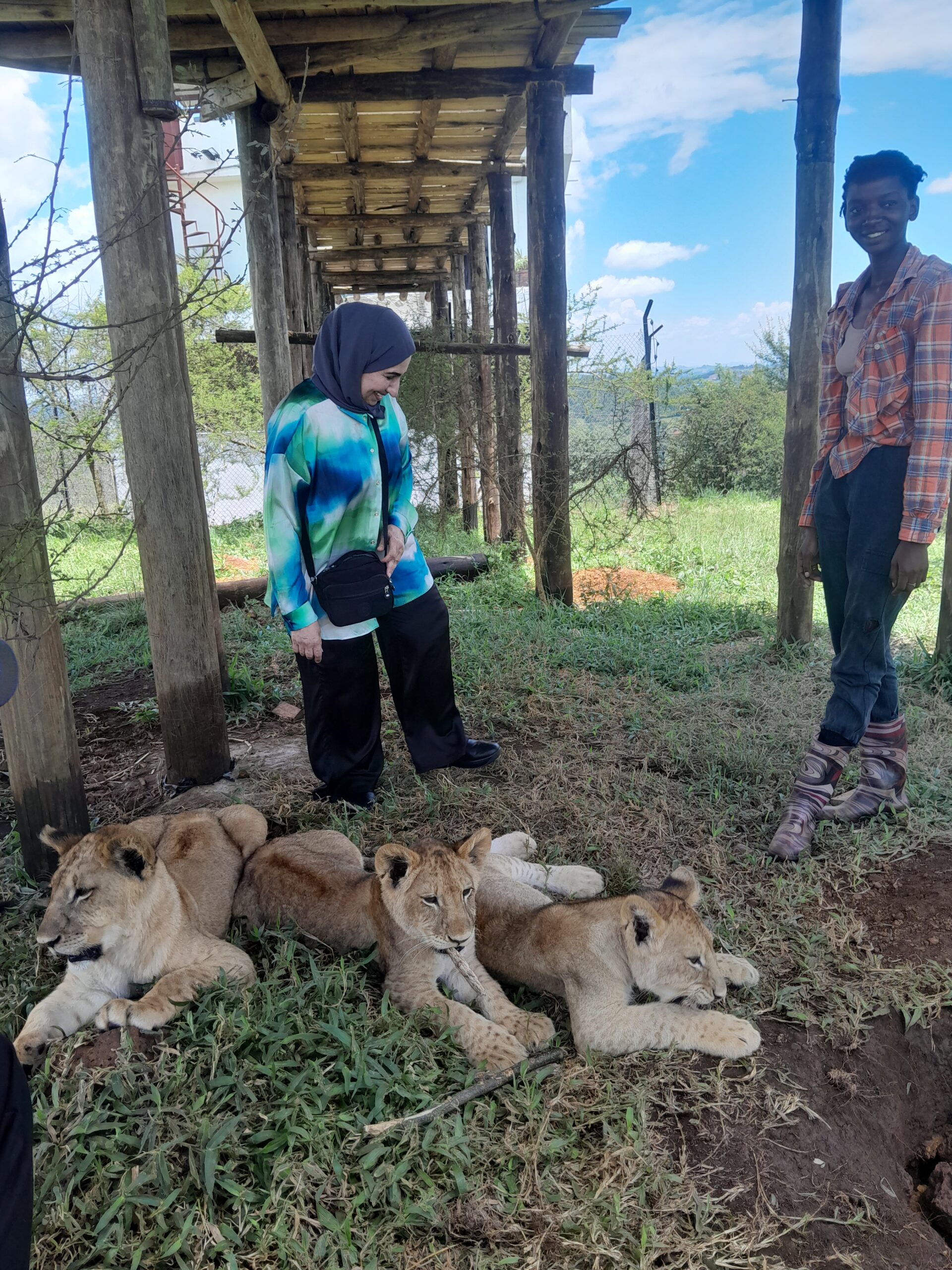 Top 10 Tourist Destinations In Uganda & How To Get There