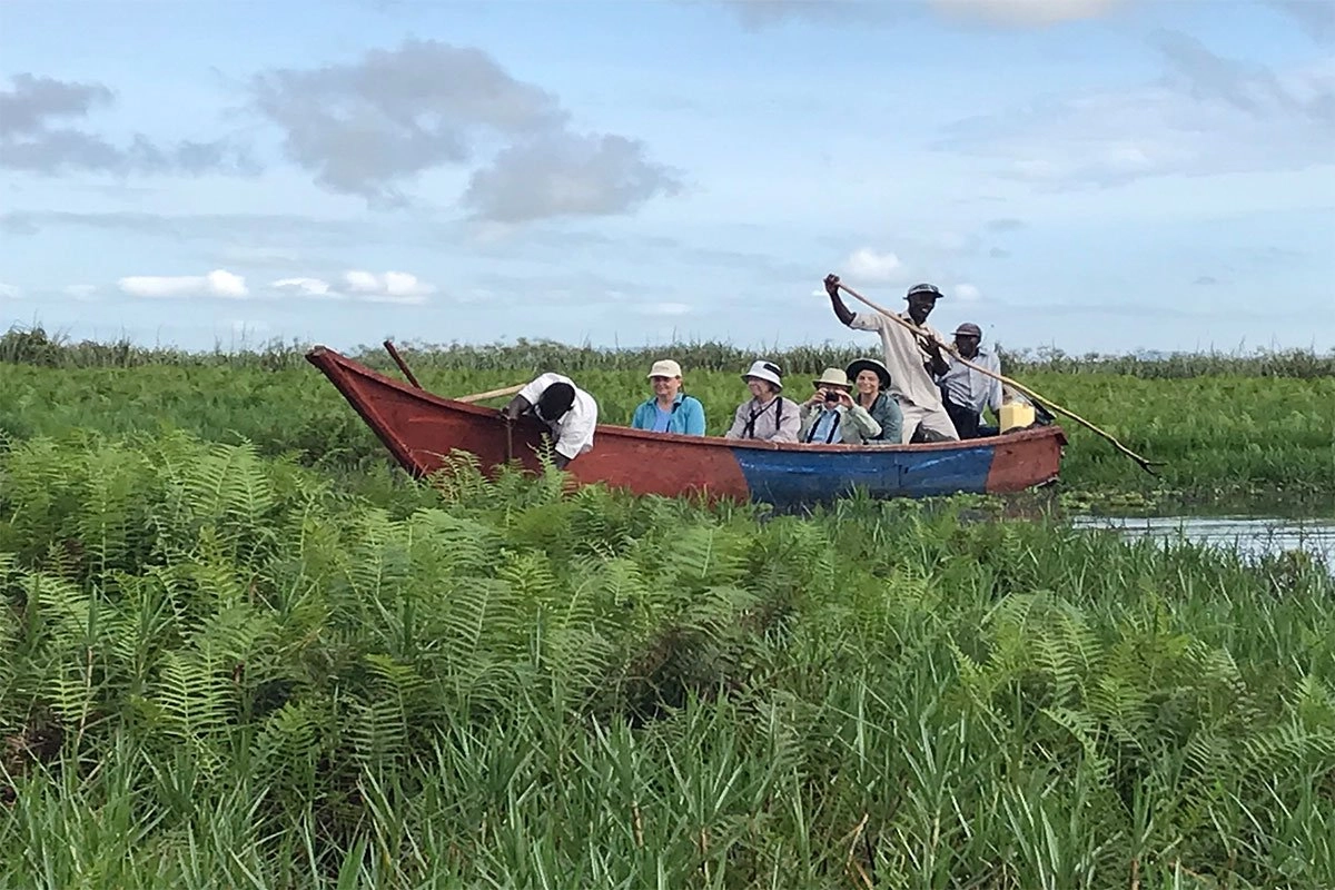 mabamba-swamp-tour - Rent A Driver Uganda mabamb swamp for birding