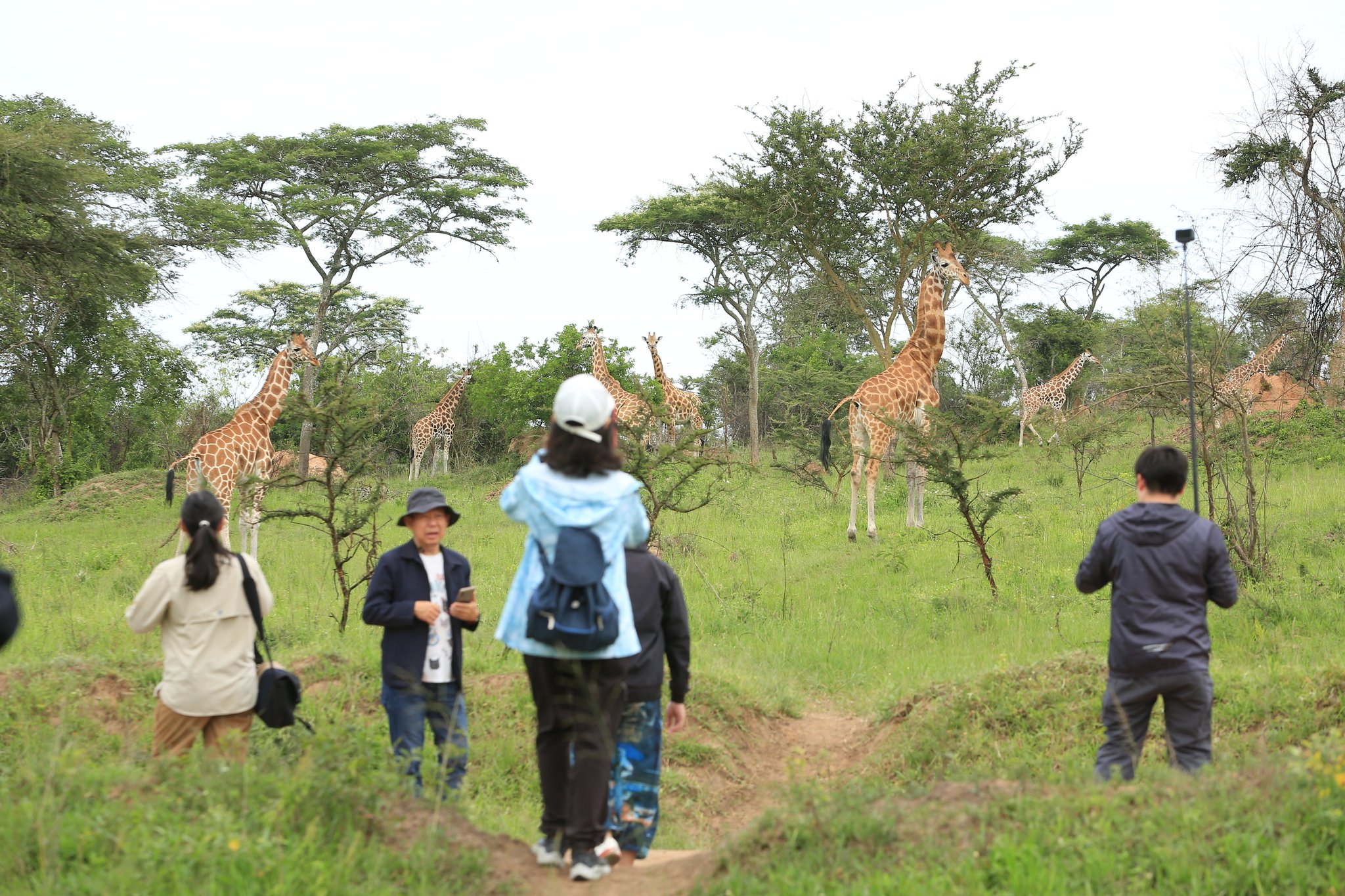 Lake Mburo wildlife walking tours