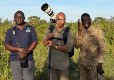 Drivers Communicate With Tour Guides In Park