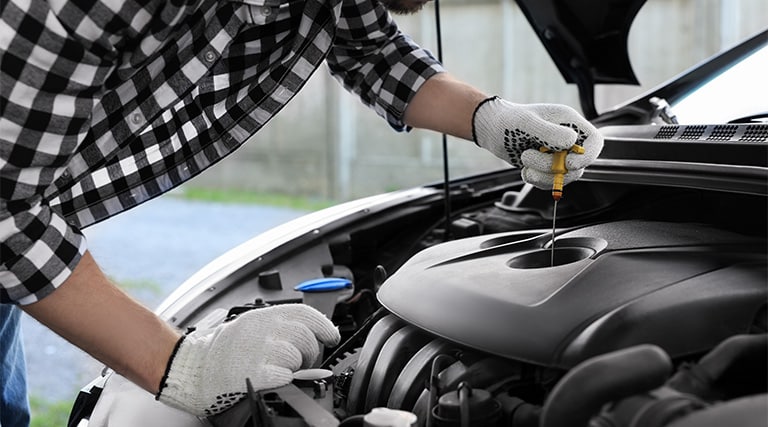 Car oiling and fluids 
