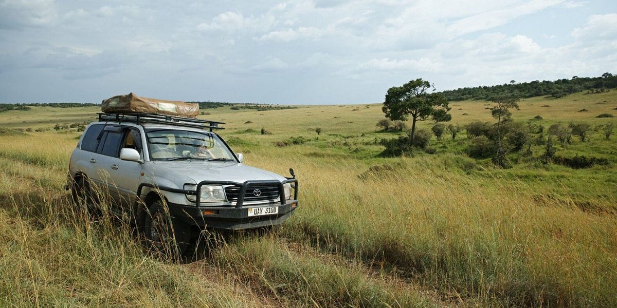 Unlock Uganda: Why A 4×4 Rental Is Your December Safari Key