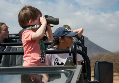 Uganda Safari Adventure Planner