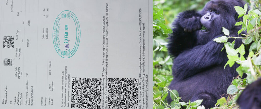 Gorilla permit for entrance in Bwindi national park 