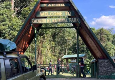 Uganda National Park Park Entrance