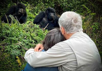 Gorilla Trekking On Uganda Safari Advennture