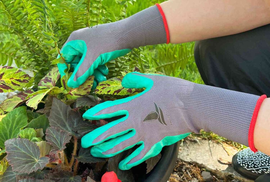 Garden gloves for safari