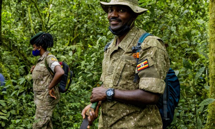 Bwindi gorilla rangers 