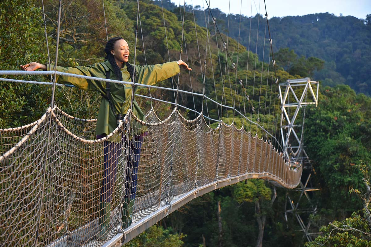 Nyungwe canopy walk