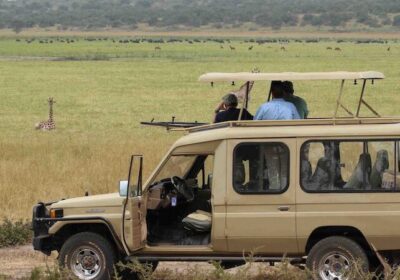 Uganda Safari Game Drive