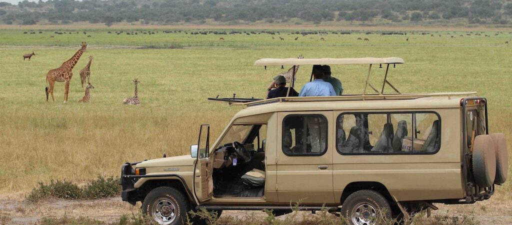 Uganda Safari Game Drive
