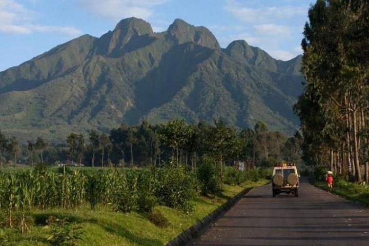 Kigali to Musanze for Volcano gorilla trekking adventures