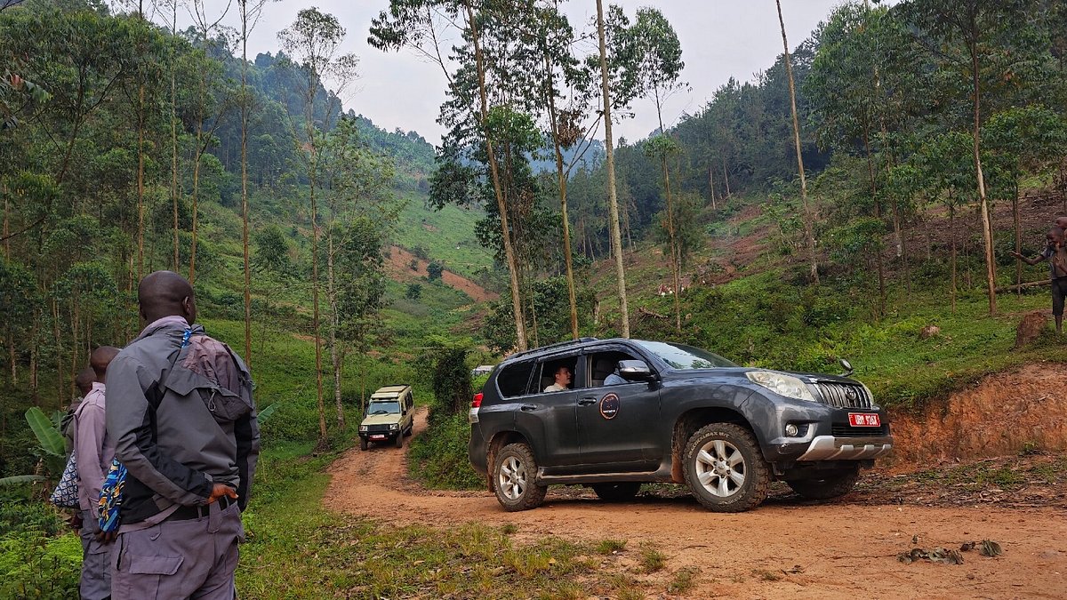 self-drive-to-bwindi-forest - Rent A Driver Uganda Driving to Bwindi for gorilla trekking