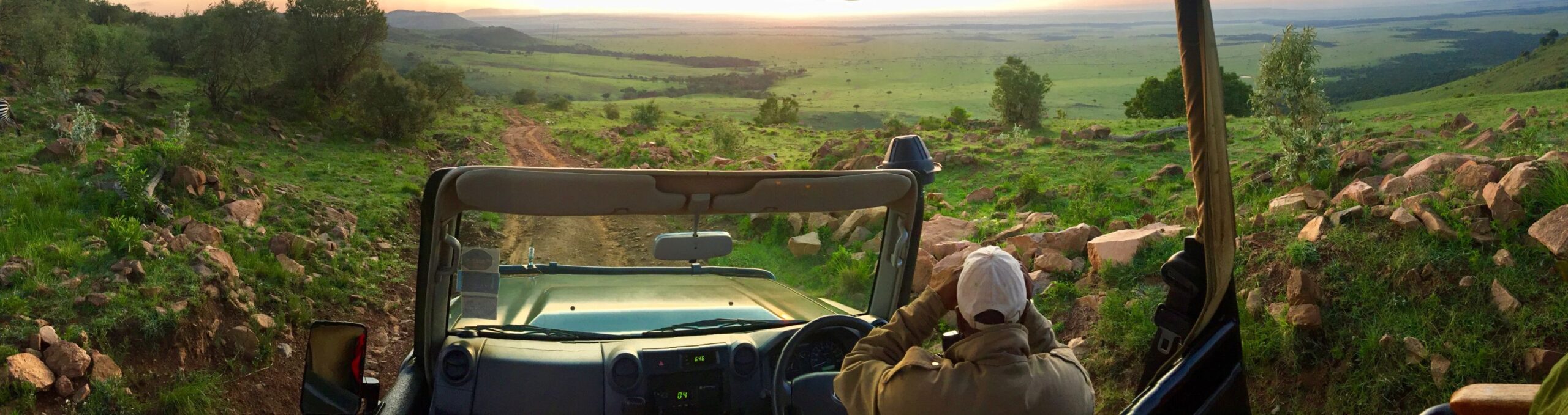 Uganda Vs Kenya Vs Rwanda Safari: First-Timer’s Travel Guide