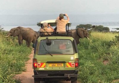 Game Drives In Murchison Falls Park
