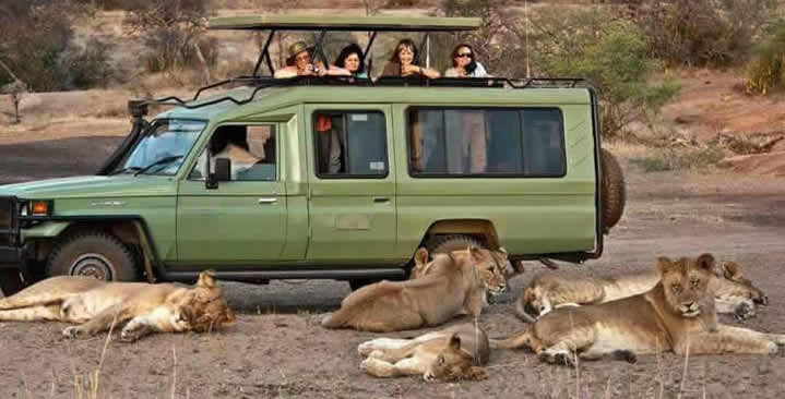 Game driving in Uganda