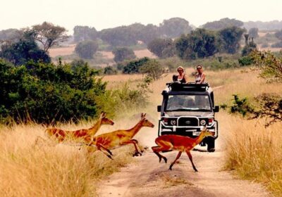 Uganda Safari Vehicle