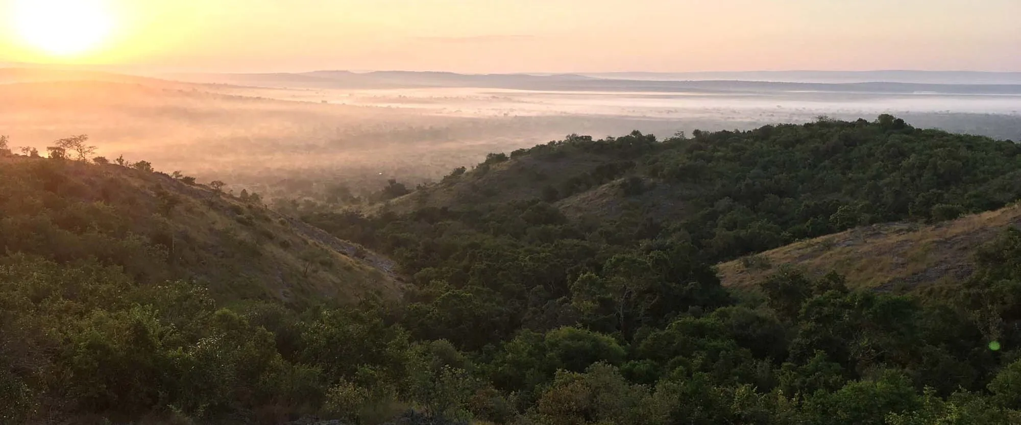 morning-in-lake-mburo-park - Rent A Driver Uganda Morning in Lake Mburo national park