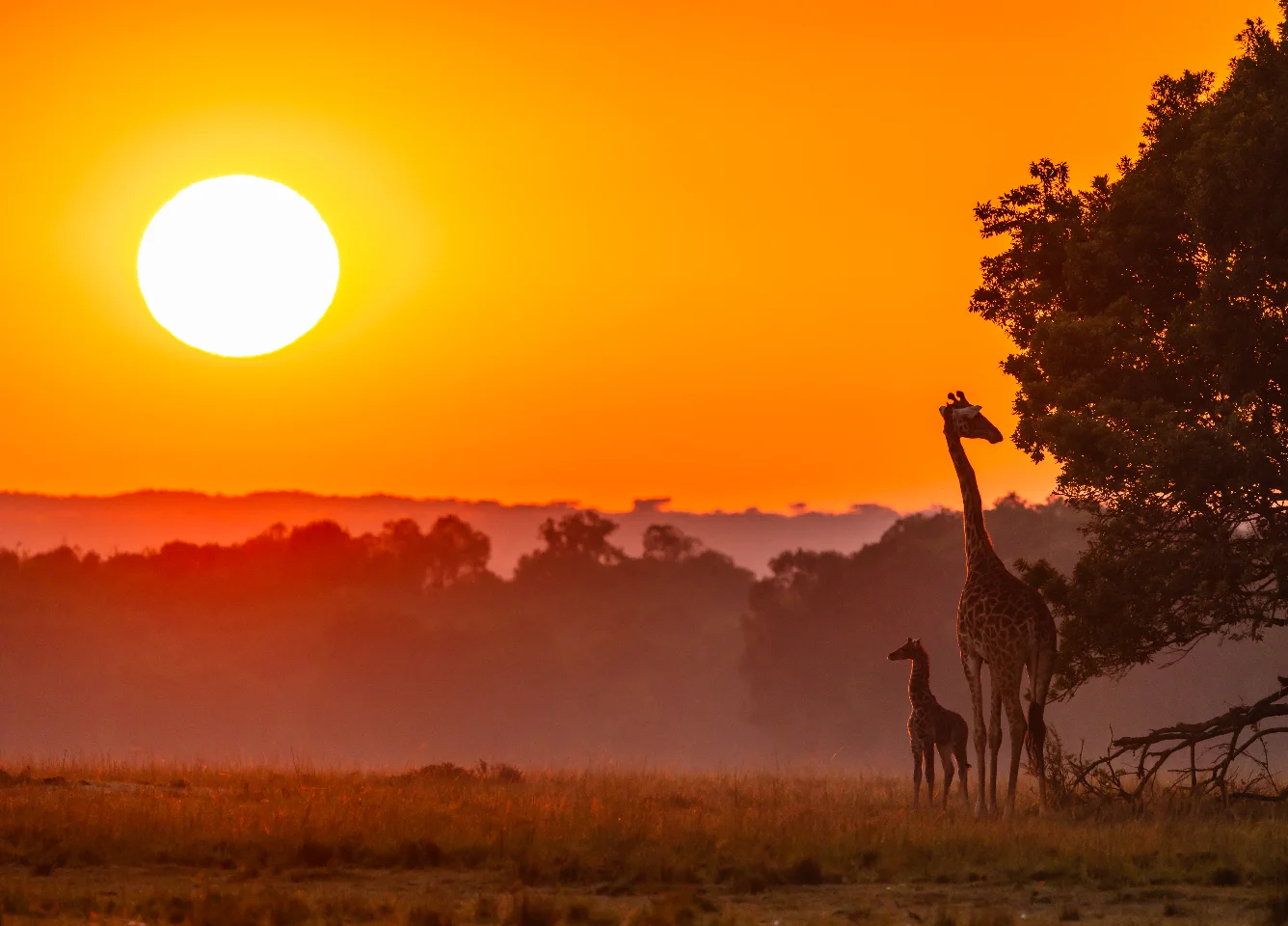sunrise-in-uganda-national-park - Rent A Driver Uganda sunrise in Uganda national park