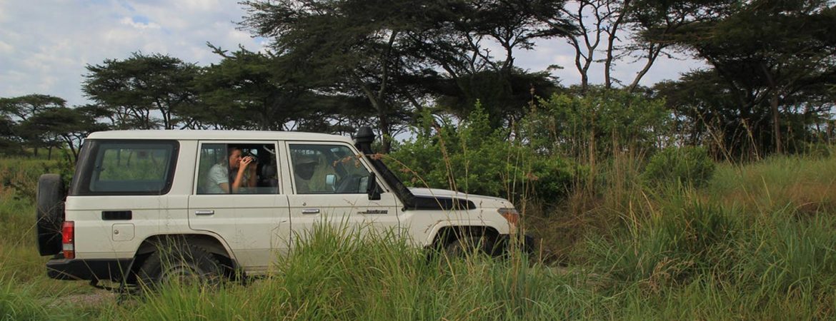 driving-in-semuliki-national-park - Rent A Driver Uganda semuliki hidden uganda safari routes