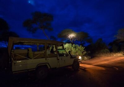 Night Safaris In Uganda
