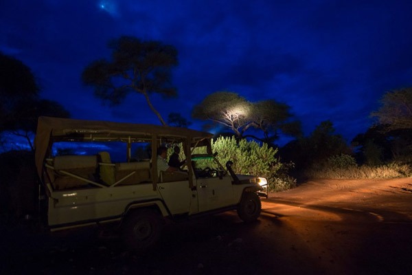Night Safaris In Uganda: What You’ll See After Sunset