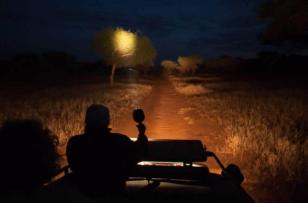 night-game-drives-uganda - Rent A Driver Uganda Night game drives in Uganda