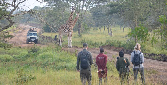 pian-upe-reserve-game-drive - Rent A Driver Uganda hidden safari routes in Uganda - Pian Upe reserve