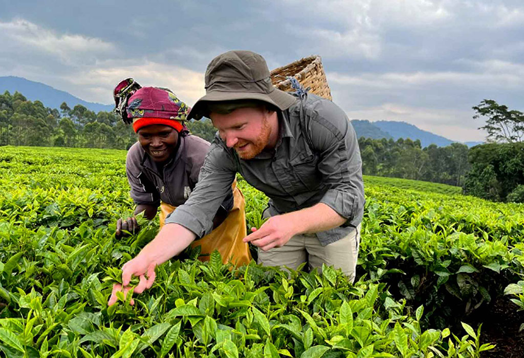 cultural-experiences-tea-plantation-visits - Rent A Driver Uganda cultural experiences by rental car
