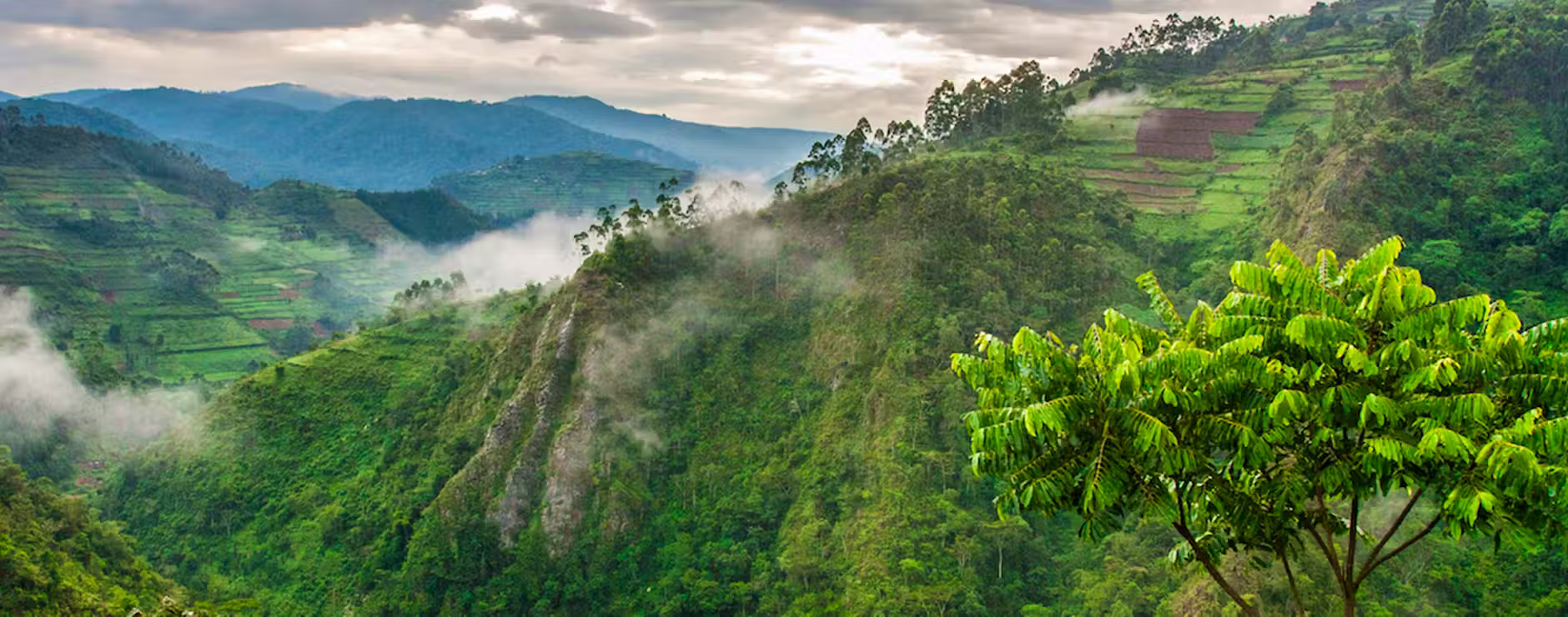 rushaga-sector-bwindi - Rent A Driver Uganda Uganda gorilla chimpanzee safari with driver
