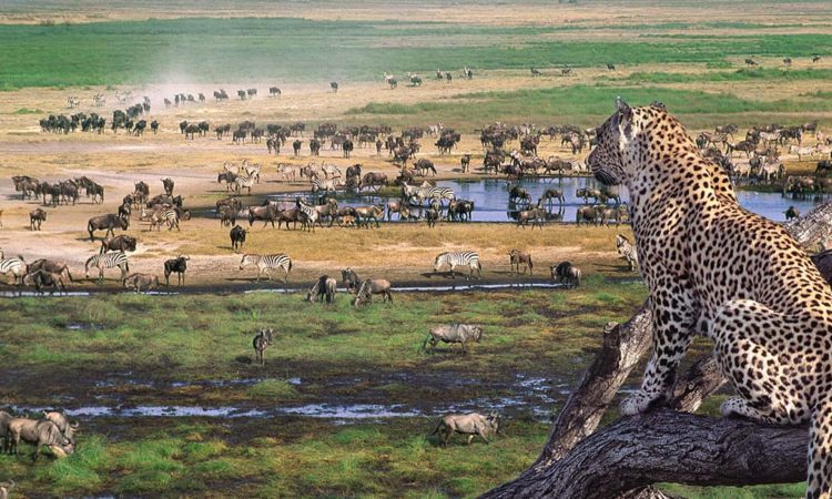 ngorongoro-crater - Rent A Driver Uganda east africa safari in Ngorongoro crater