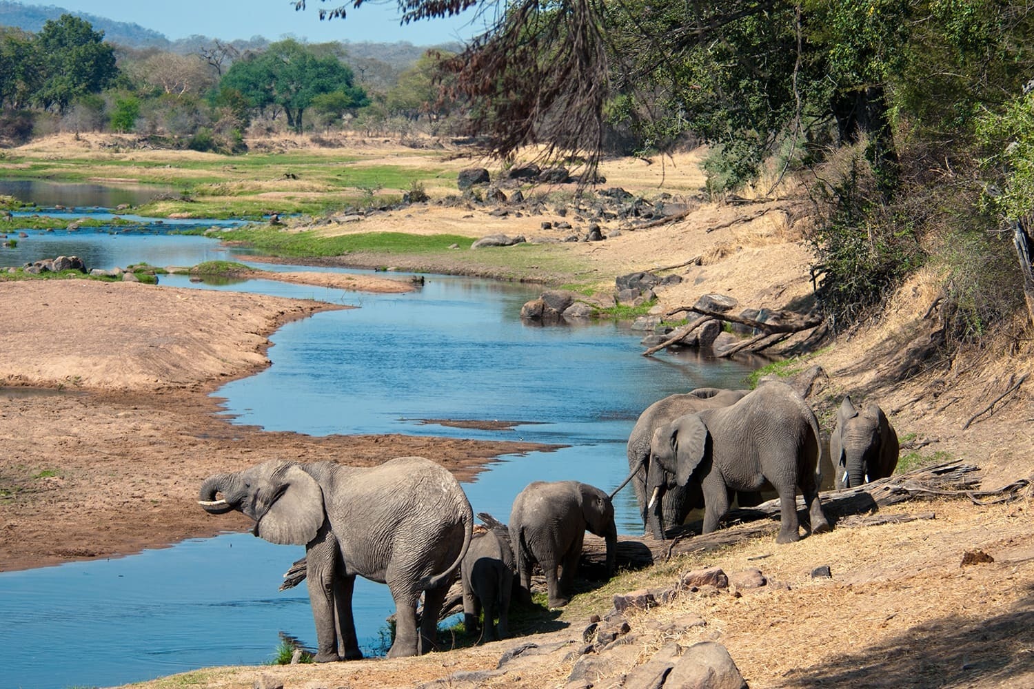 ruaha-national-park - Rent A Driver Uganda ruaha national park