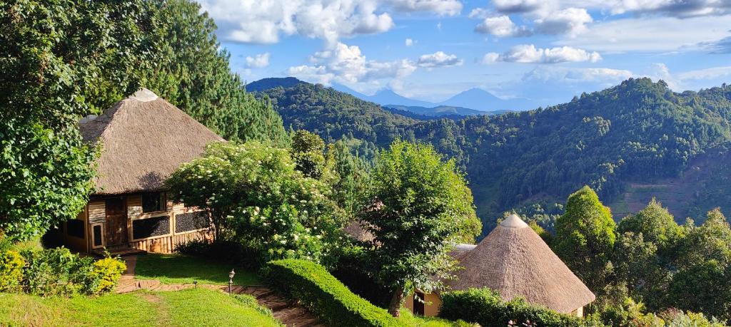slow travel uganda in eco lodges